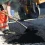 bitumen-gallery3 bitumen-gallery3